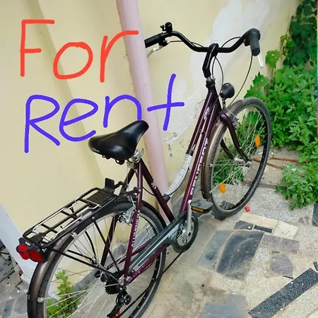 Only Backpackers بيت شباب
